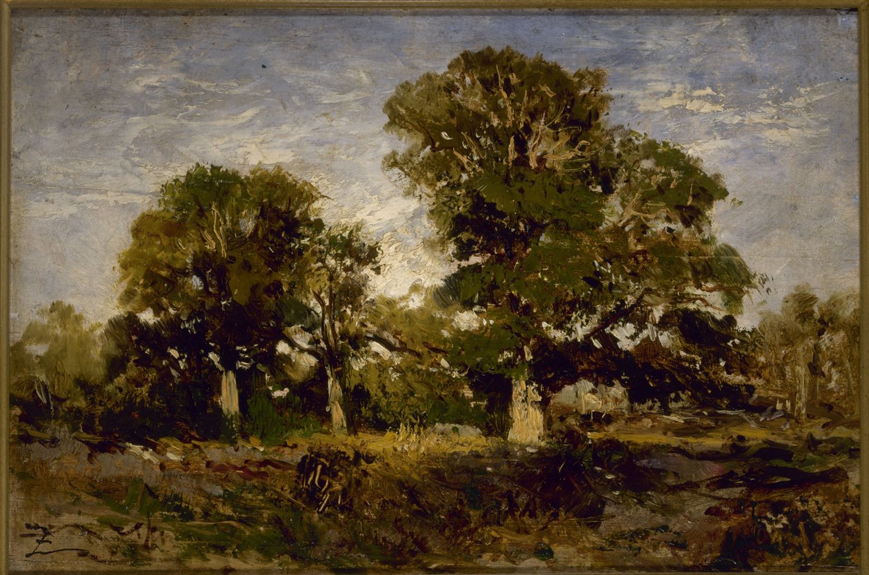 Tammet, vuosina 1850-1860 (öljy puulle) tekijältä Félix Ziem
