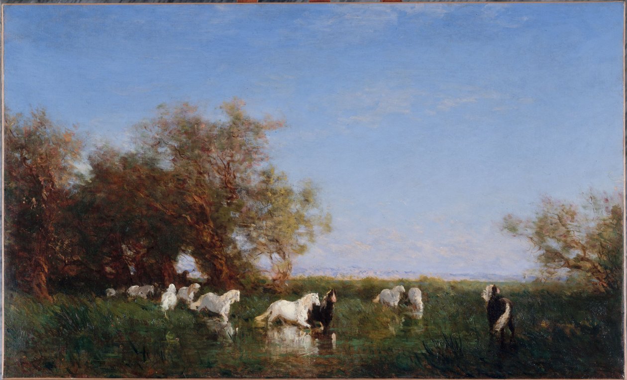 Villihevoset Camarguen alueella, vuosina 1890-1895 (öljy kankaalle). tekijältä Félix Ziem