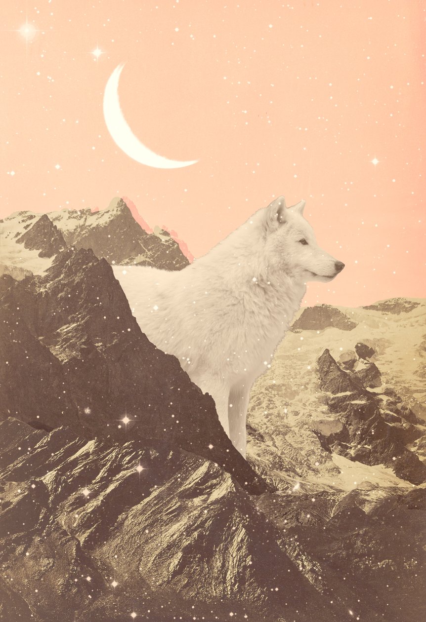 Giant Wolf in Pink Mountains, 2021 (kollaasi) tekijältä Florent Bodart