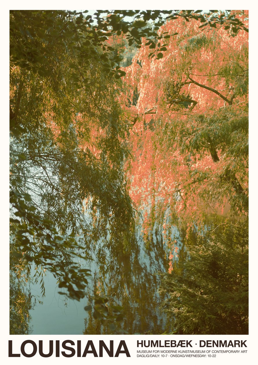 The Lake - Lousiana, 2023 (kuva) tekijältä Florent Bodart
