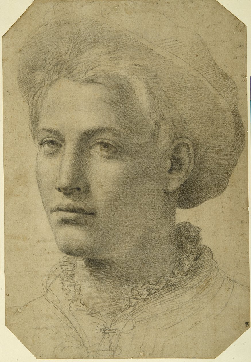 Pään muotokuva nuoresta lippiksestä, n. 1530-40 (musta liitu valkoisella paperilla) tekijältä Florentine School