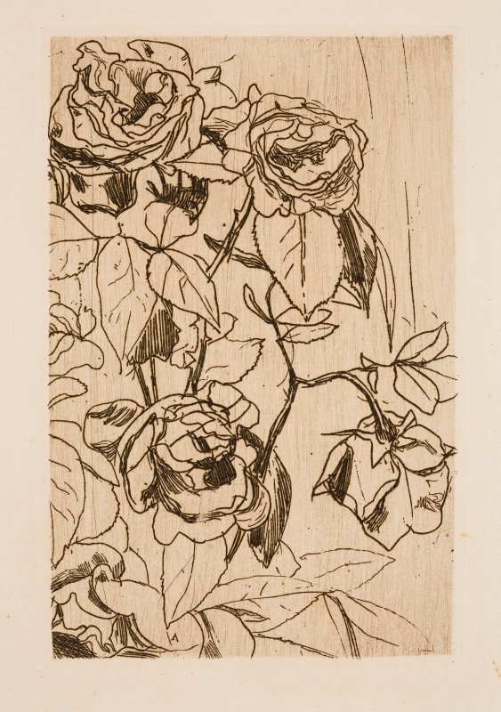Tutkimus ruusuja tekijältä Floris Verster