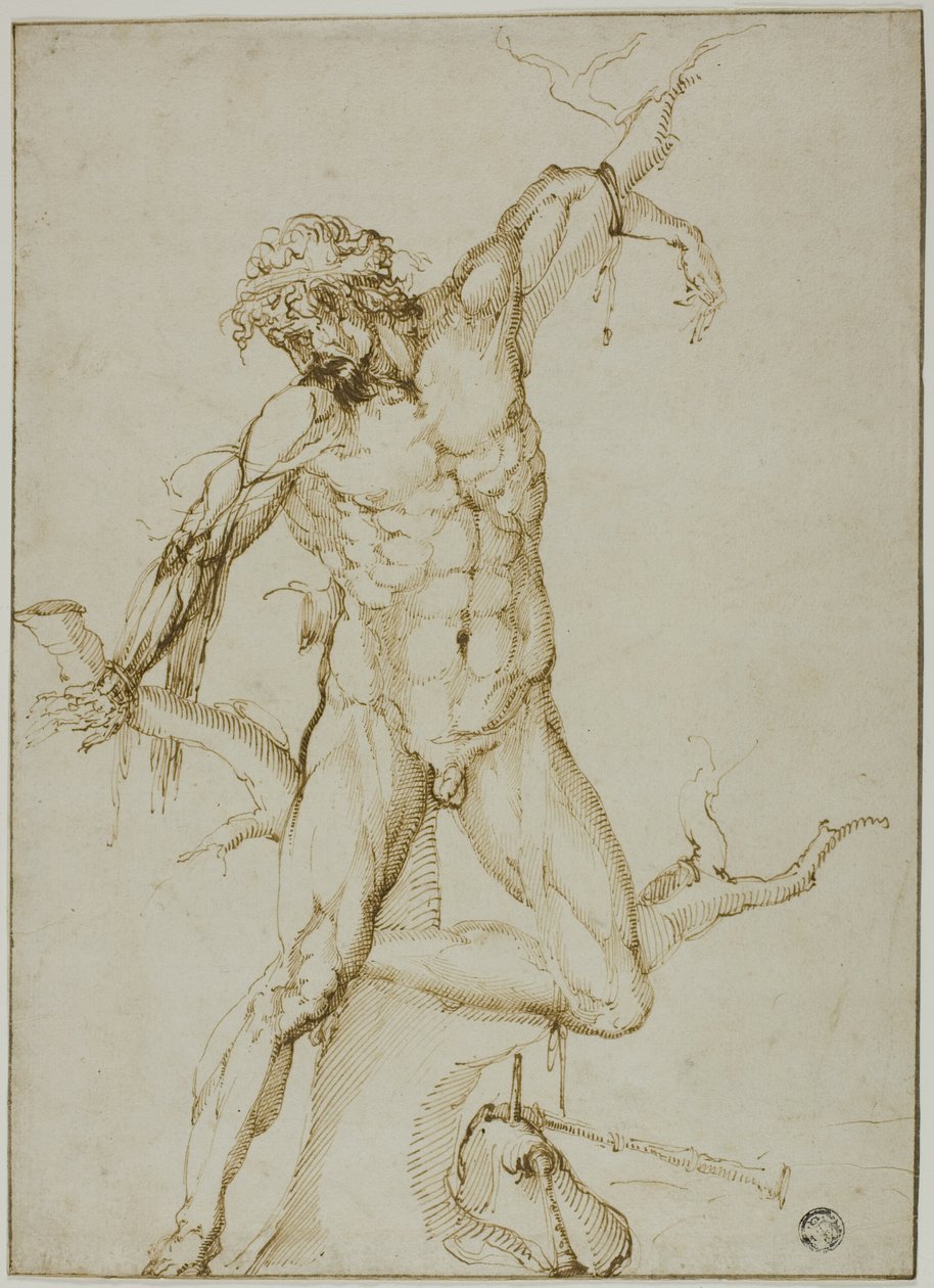 Marsyas sidottu puuhun tekijältä Follower of Baccio Bandinelli