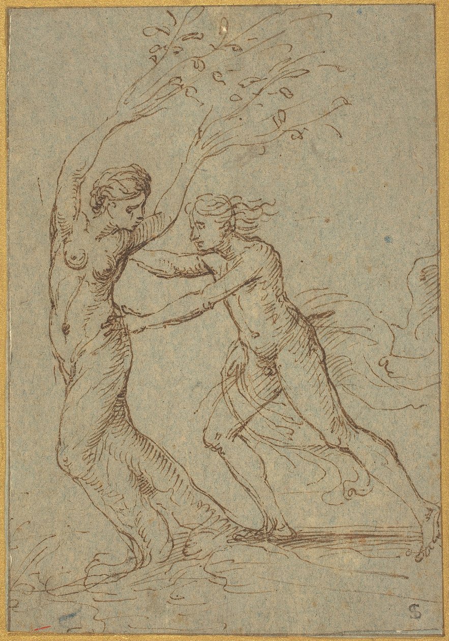Apollo ja Daphne tekijältä Follower of Giulio Romano