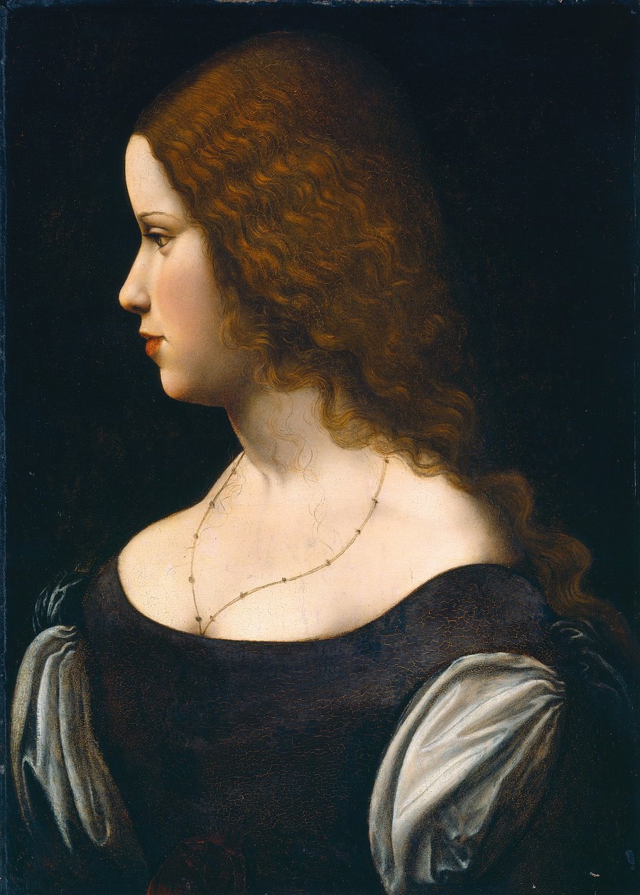Nuoren naisen muotokuva tekijältä Follower of Leonardo da Vinci