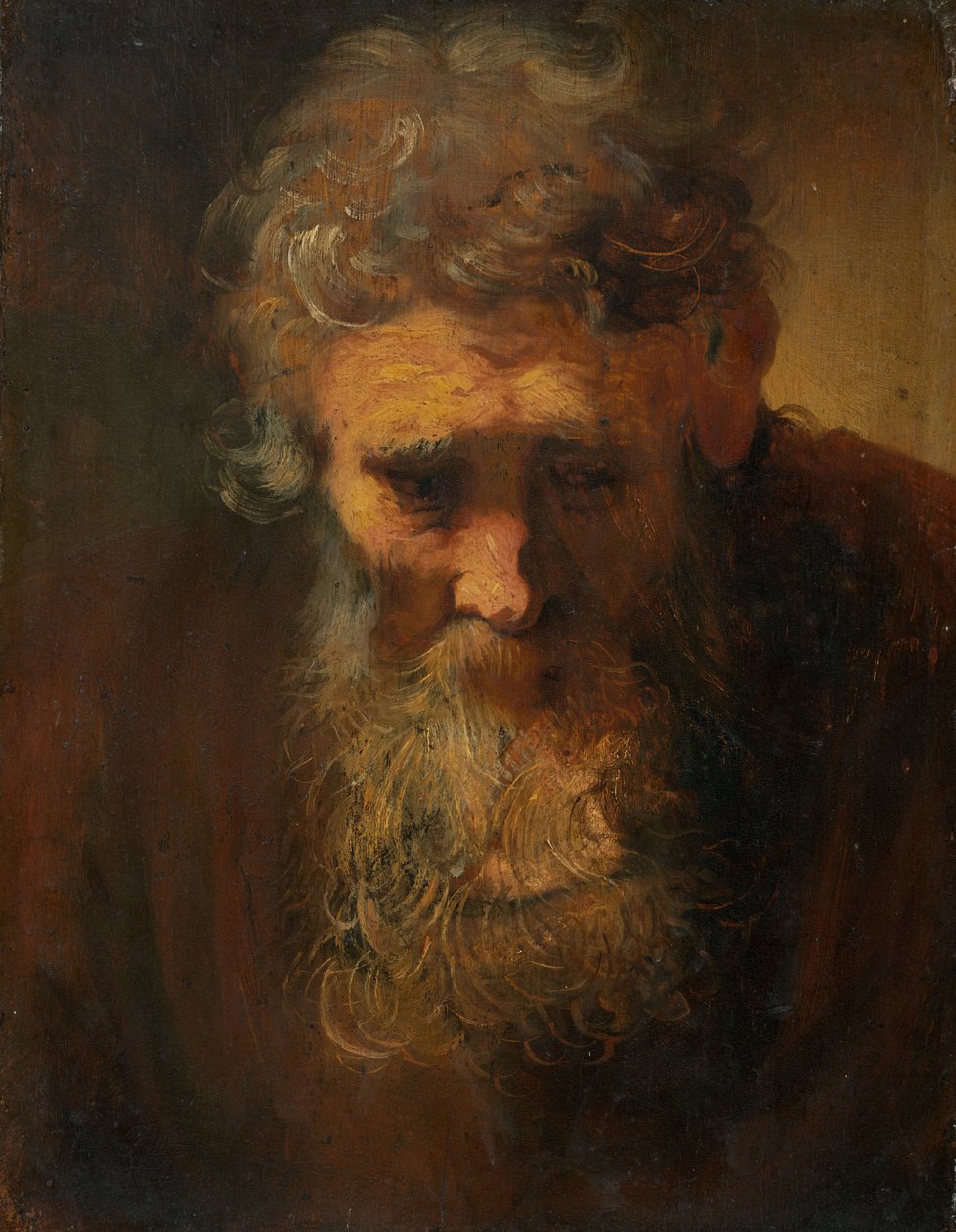 Tutkimus vanhasta miehestä tekijältä Follower of Rembrandt van Rijn