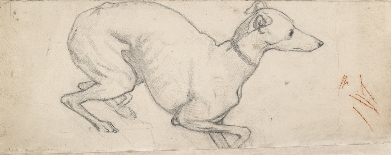 Vinttikoiran tutkimus, 1800-luvun puoliväli tekijältä Ford Madox Brown