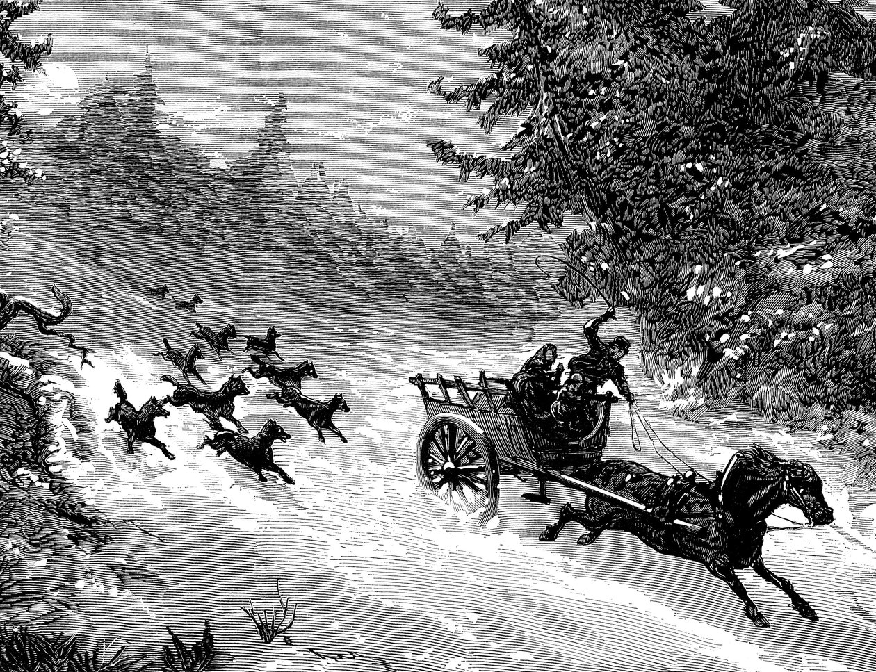 Suden pelko: Susilauma jahtaa kolmea ihmistä kuljettavaa kärryä, jota vetää lumessa juokseva hevonen, metsässä Ardenneilla - Meaullen kaiverrus "The Illustrous Universe" -lehdessä nro 918, tammikuu 1872 - tekijältä Fortune Louis Meaulle