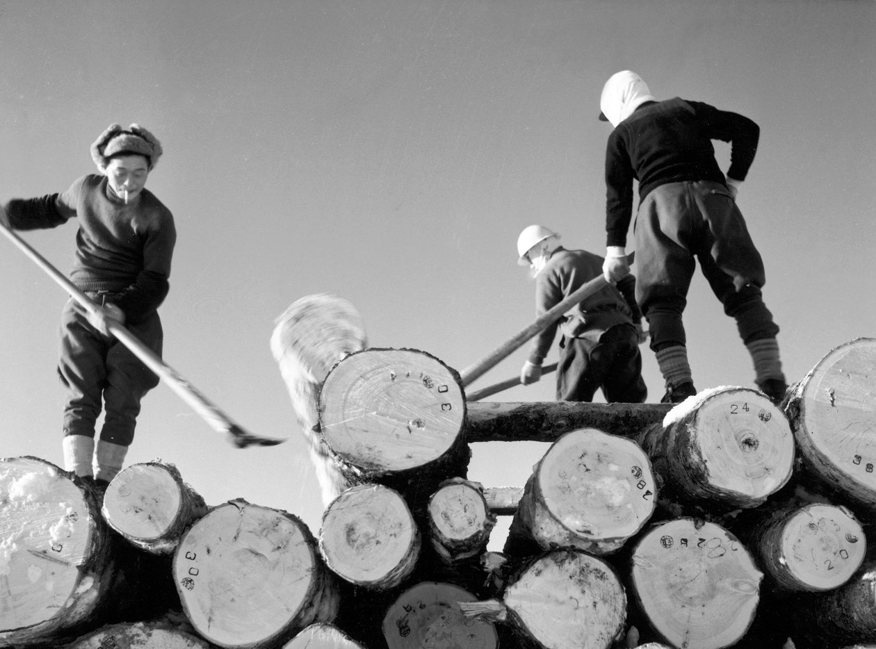 Puunleikkaajat työssään tekijältä Fosco Maraini