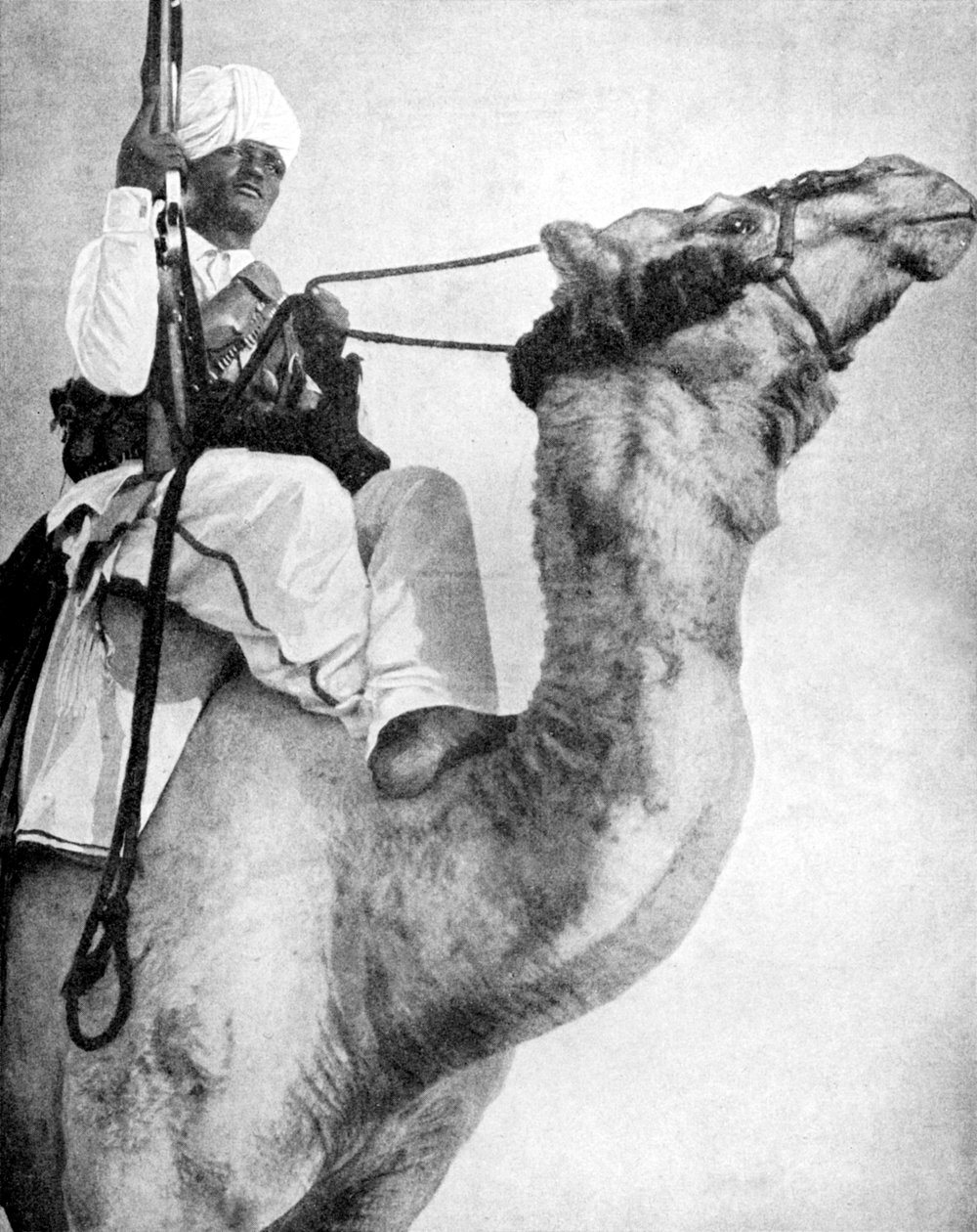 Afrikan aavikkosoturi, 1936. tekijältä Fox Photos