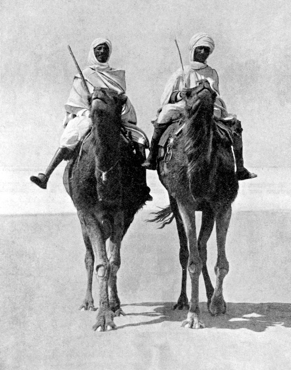 Kaksi arabia ratsastaa kameleilla Saharan autiomaassa Afrikassa, 1936. tekijältä Fox Photos