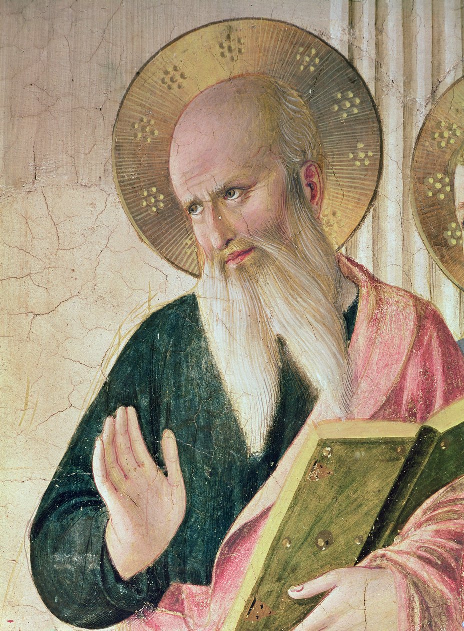 Varjon Madonna tai Neitsyt ja lapsi pyhän Dominicin, Cosman, Damienin, Markuksen, evankelista Johannes, Tuomas Akvinolaisen, Laurencen ja marttyyri Pierren välillä vasemmalta oikealle Pyhän Johanneksen yksityiskohta tekijältä Fra Angelico
