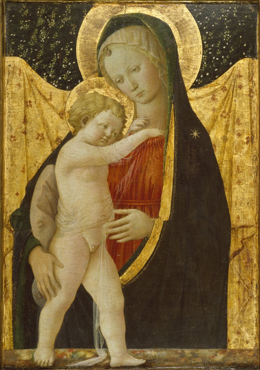Madonna ja lapsi, n. 1446-47 (tempera ja kulta paneelissa) tekijältä Fra Filippo Lippi
