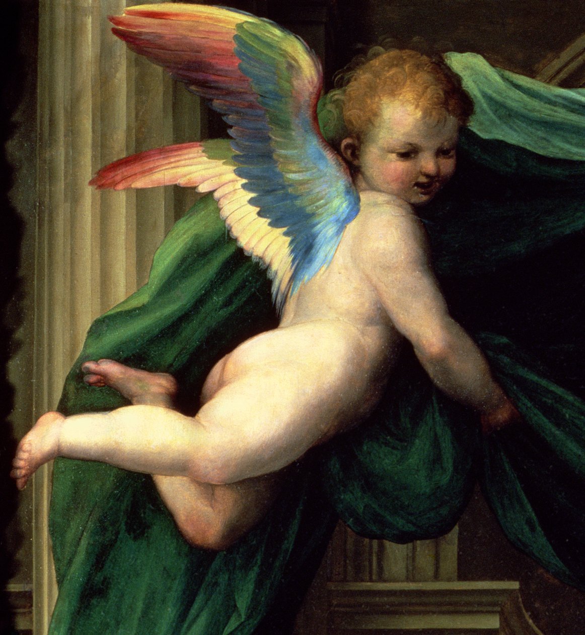 Sienalaisen Katariinan mystinen avioliitto pyhimysten kanssa, enkelin yksityiskohta, 1511 öljy paneelille, yksityiskohta 93870 tekijältä Fra Bartolommeo