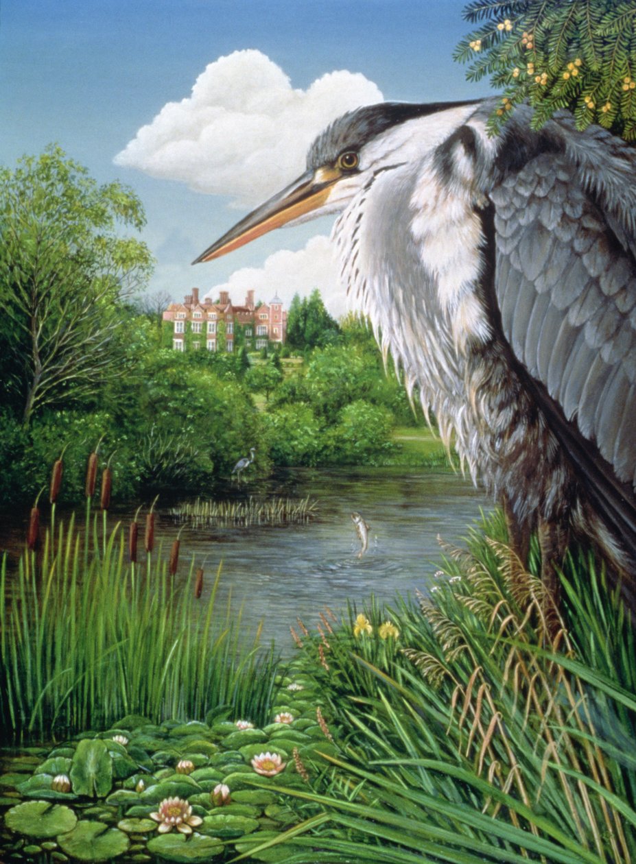 Herons at Chilham, 1986 (öljy ja tempera paneelissa) tekijältä Frances Broomfield