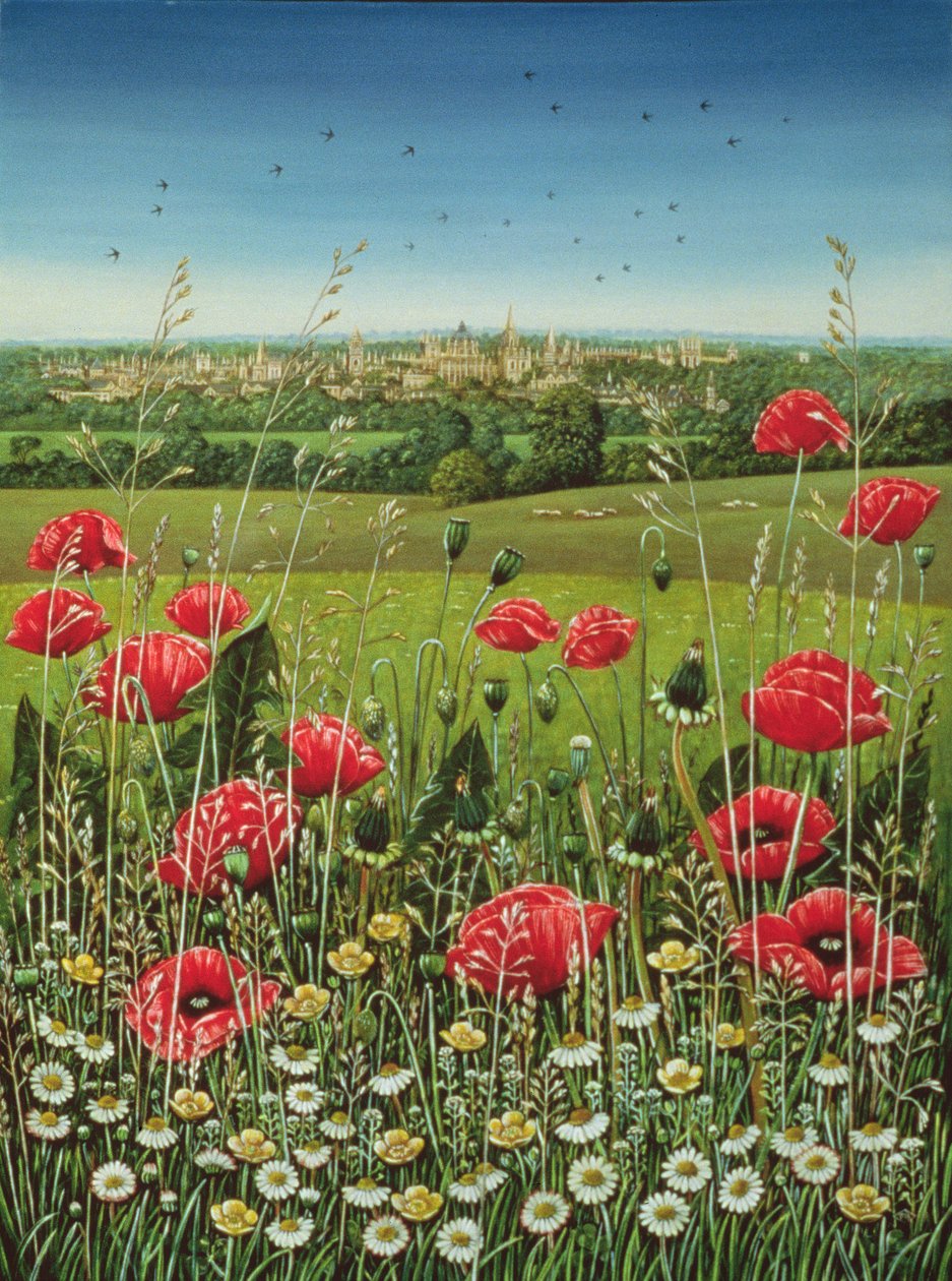 Oxford Poppies, 1983 (öljy ja tempera paneelissa) tekijältä Frances Broomfield