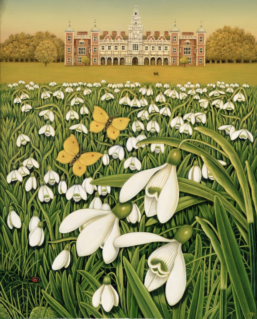 Snowdrop Day, Hatfield House, 1999 (öljyä ja temperaa kentällä) tekijältä Frances Broomfield