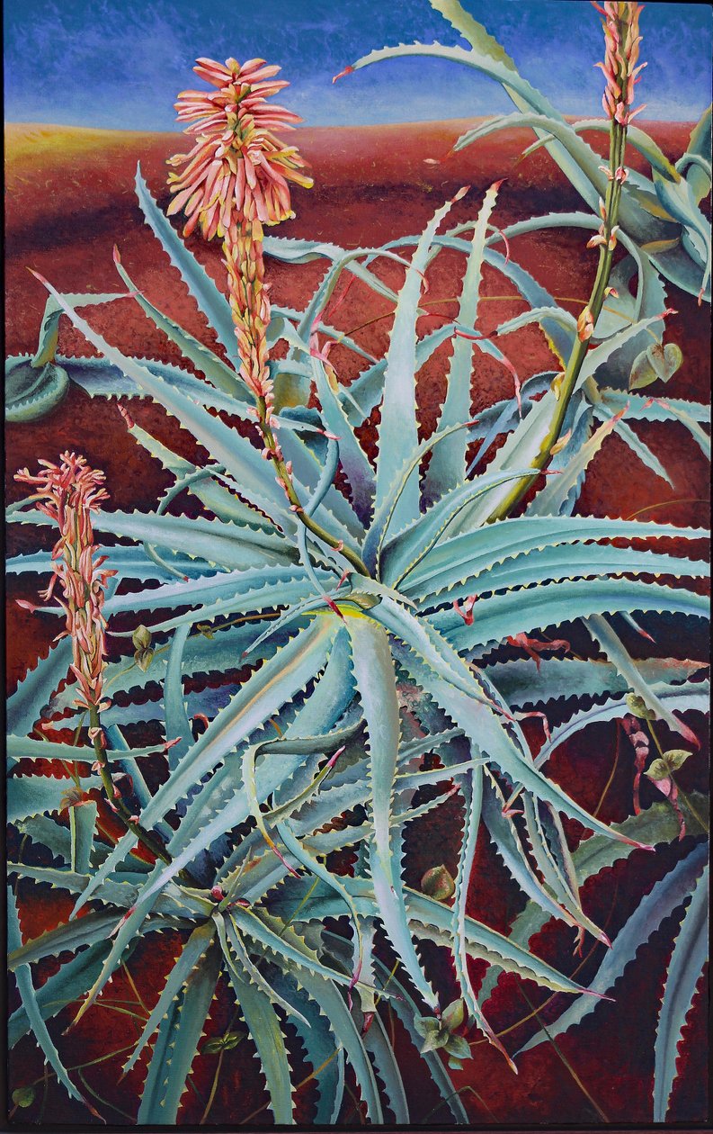 Aloe tekijältä Frances Ferdinands