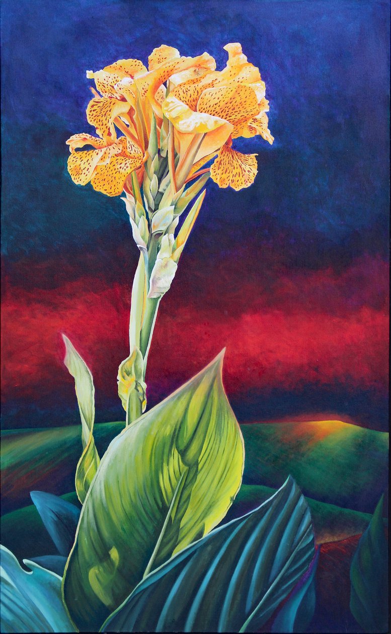 Keltainen Canna Lily tekijältä Frances Ferdinands