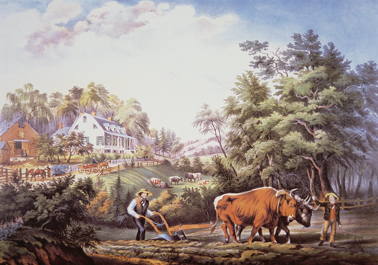 Escena de granja americana finlandesa tekijältä Frances Flora Bond (c.1812 76) Palmer