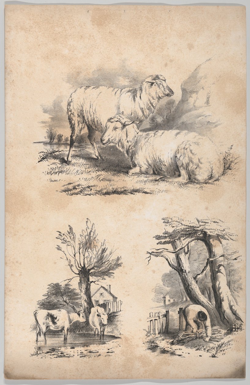Vinjetti kahdella lampaalla, Vinjetti kahdella lehmällä altaassa ja Puunkeräilijän vinjetti..., 1847. tekijältä Frances Flora Bond Palmer