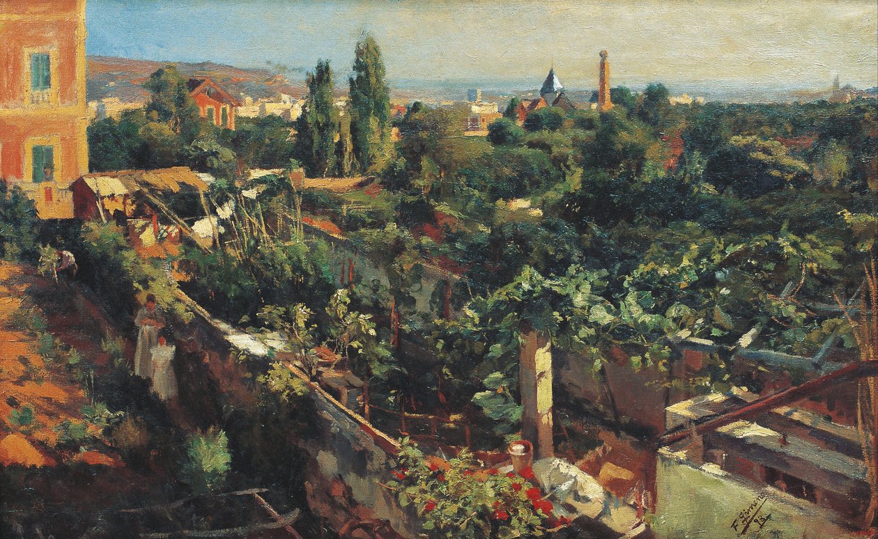 Grapevines tekijältä Francesc Gimeno