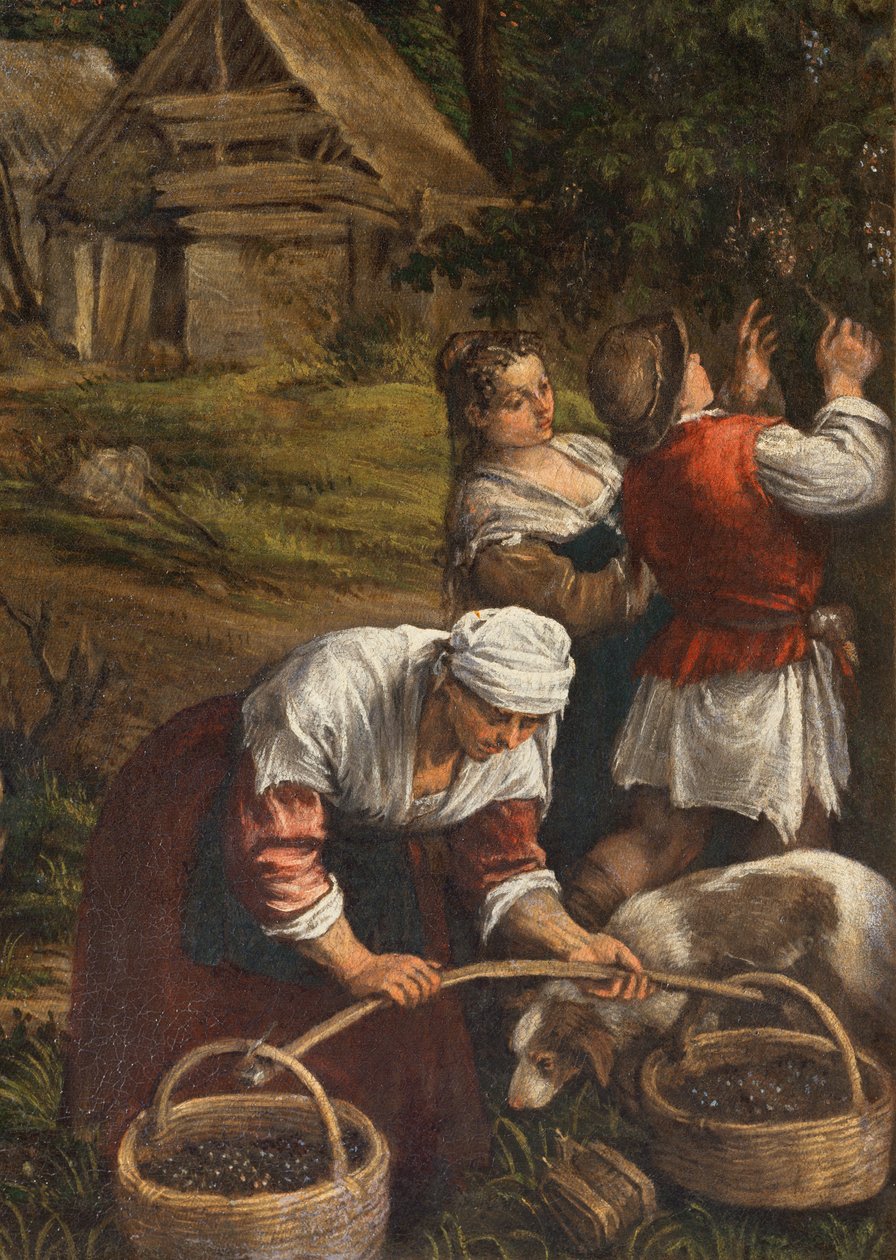 Sadonkorjuu, (Mooses saa kymmenen käskyä), (yksityiskohta 65689), 1576 tekijältä Francesco Bassano