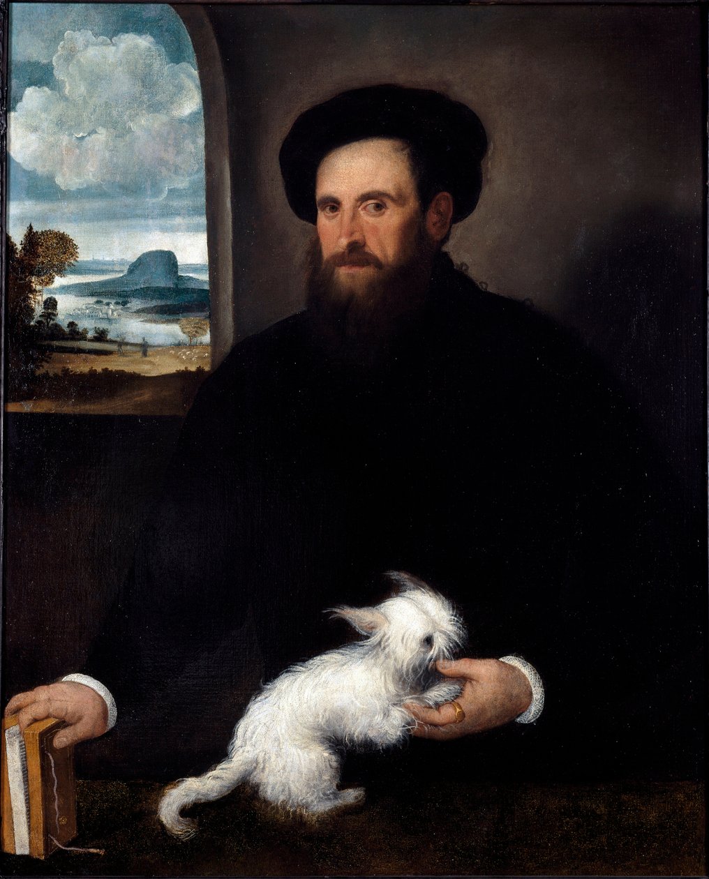 Muotokuva herrasmiehestä pienen koiran kanssa Francesco Beccaruzzin (n. 1492-1563) maalaus 1540 noin. Mitat 101x84 cm Milano, Castello Sforzescon kansalaiskokoelmat tekijältä Francesco Beccaruzzi