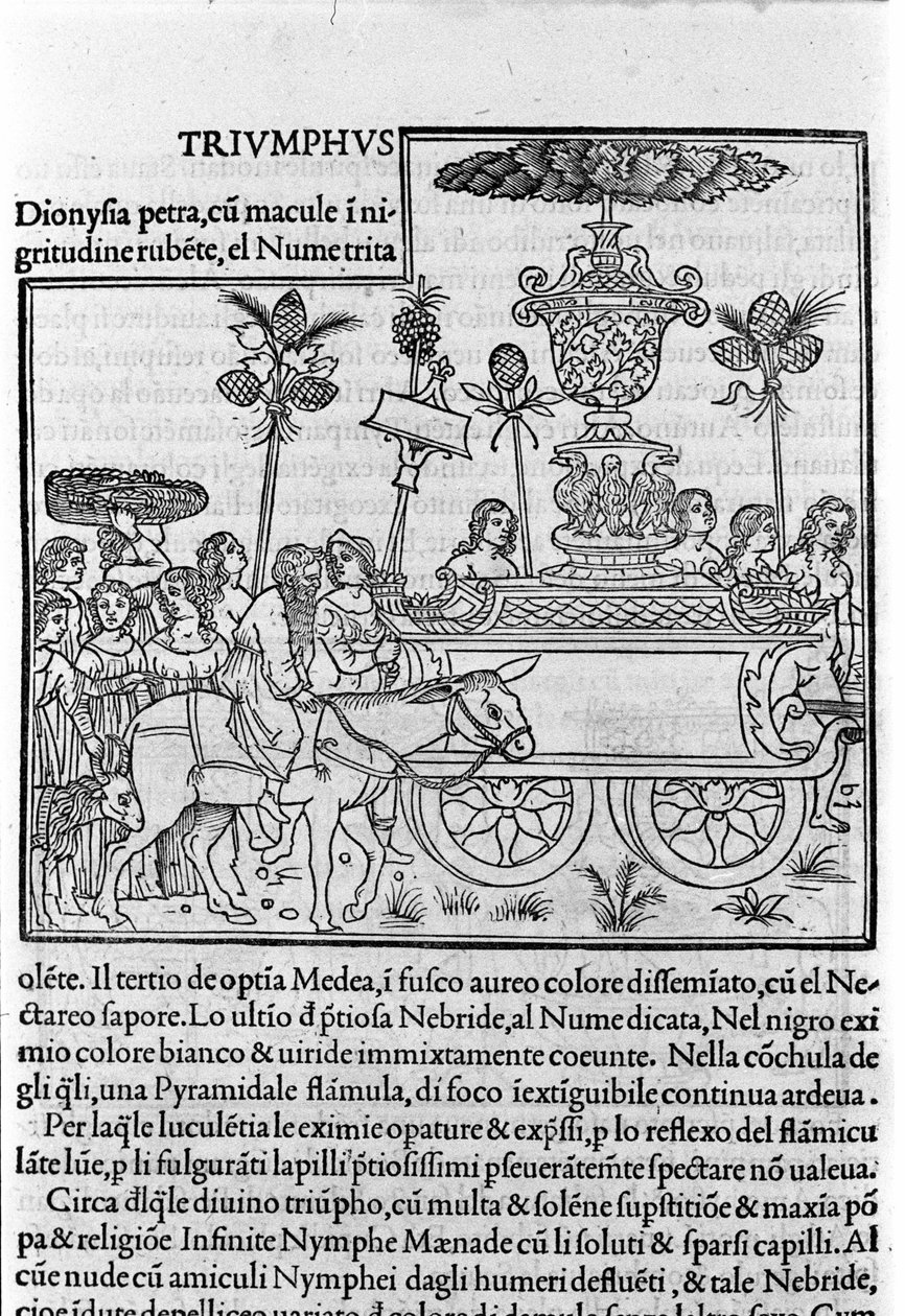 Kaiverrus "Hypnerotomachia Polyphili" (Poliphilan unelma) dominikaanisen munkin Francesco Colonna, Venetsia tekijältä Francesco Colonna