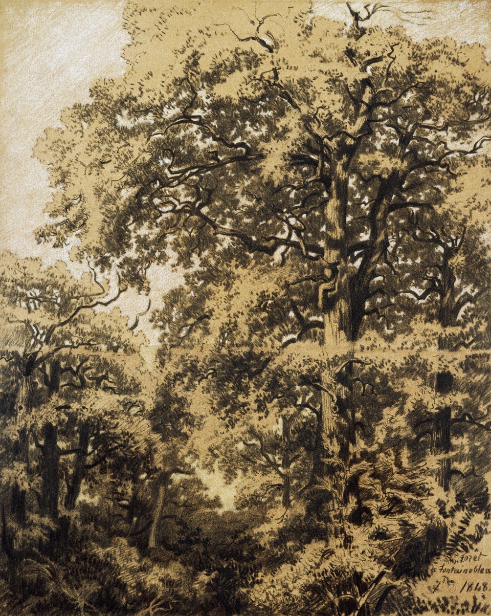 Fontainebleaun metsä tekijältä Francesco Gamba