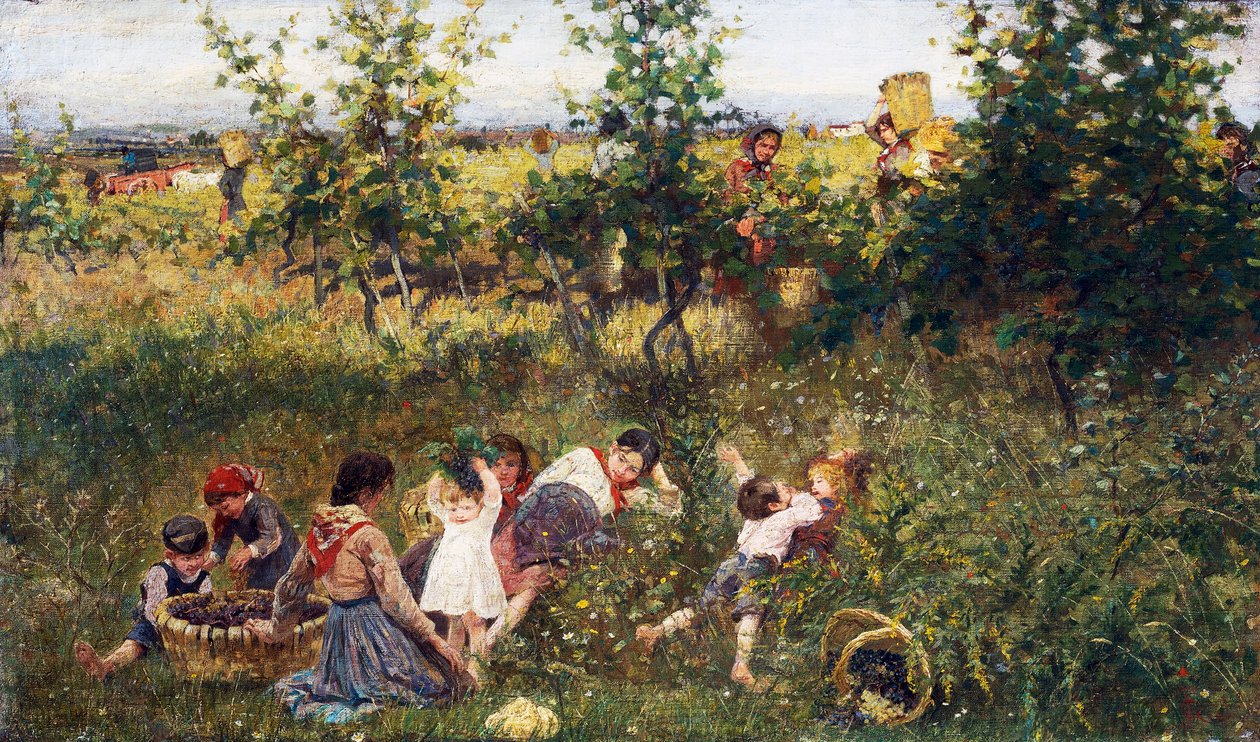 Rypäleen sato, Francesco Giolin (1846-1922) maalaus, öljy kankaalle, 39, 5x66 cm tekijältä Francesco Gioli