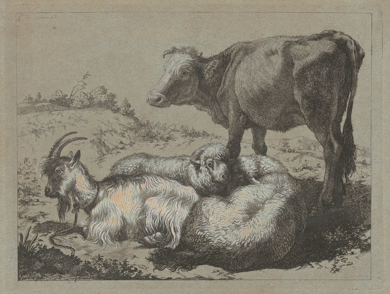 Pysyvä härkä, kaksi lammasta ja vuohi, c. 1762. tekijältä Francesco Londonio