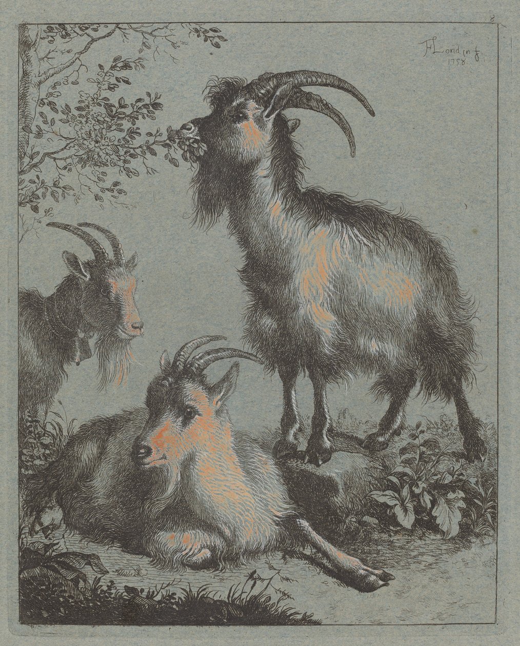 Kolme vuohet, 1758. tekijältä Francesco Londonio