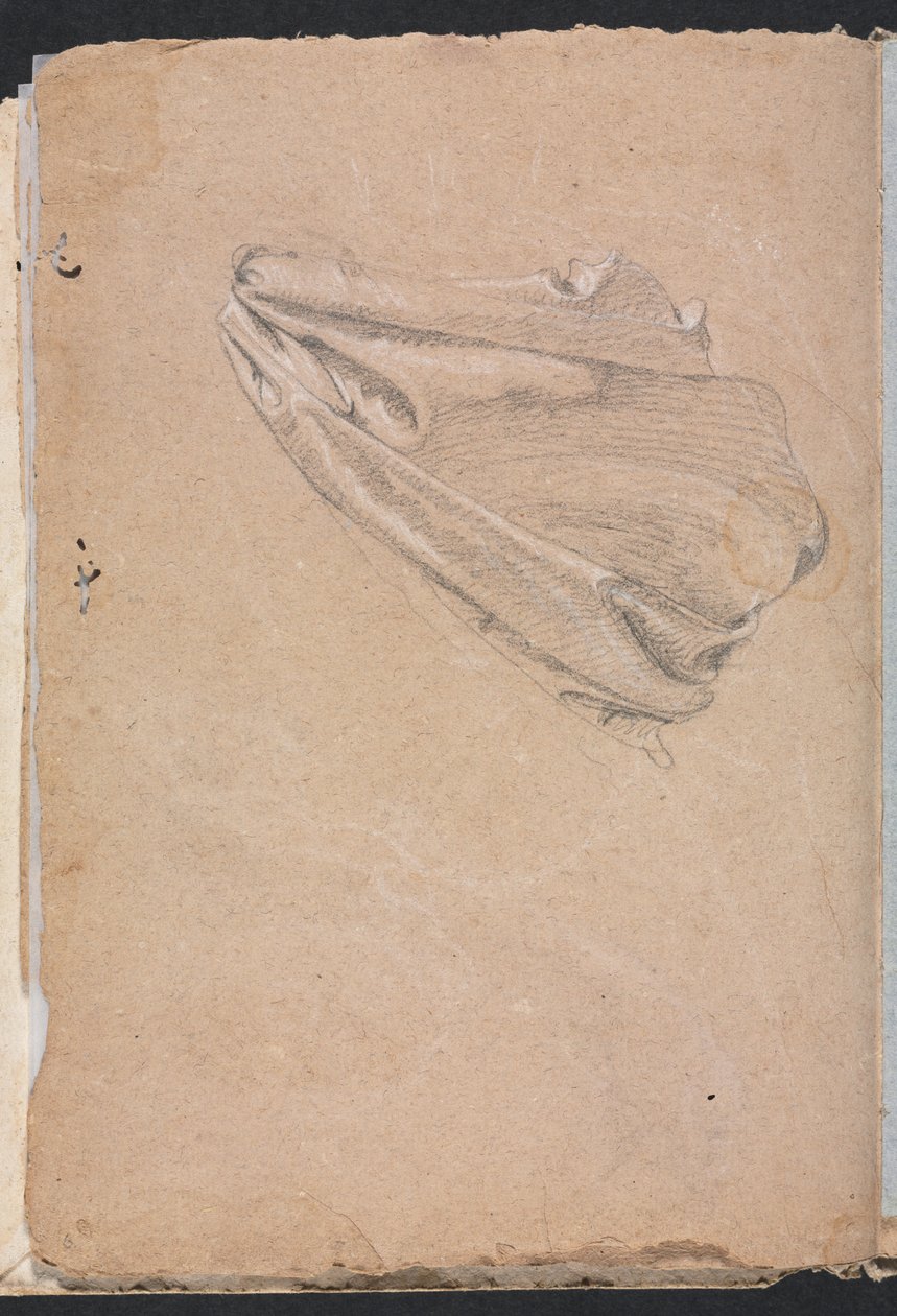 Verona Sketchbook: Verhojen tutkimus sivu 6, 1760. tekijältä Francesco Lorenzi