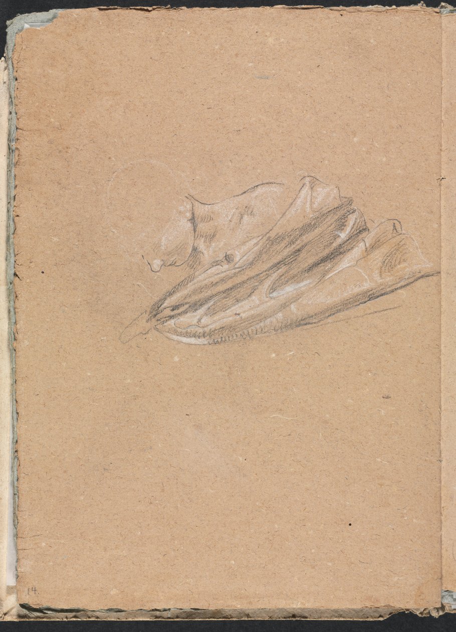 Verona Sketchbook: Pää ja olkapäät verhoilla sivu 14, 1760. tekijältä Francesco Lorenzi