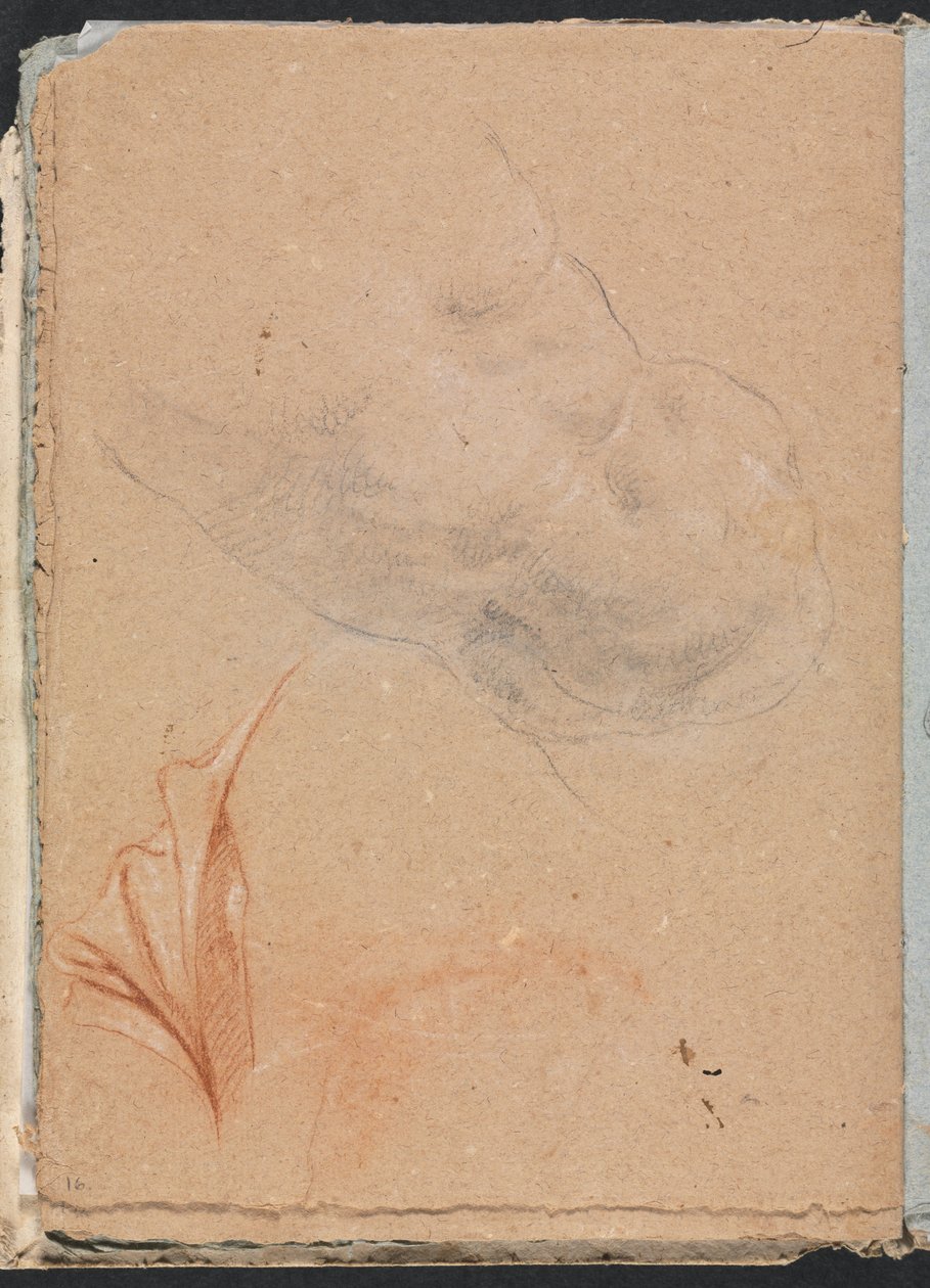 Verona Sketchbook: Alaston miehen vartalo verhoilla sivu 16, 1760. tekijältä Francesco Lorenzi