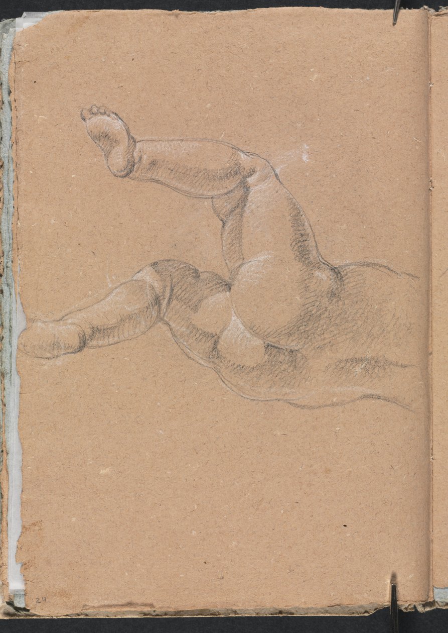 Verona Sketchbook: Putto (vartalon alapuoli) (sivu 24) tekijältä Francesco Lorenzi