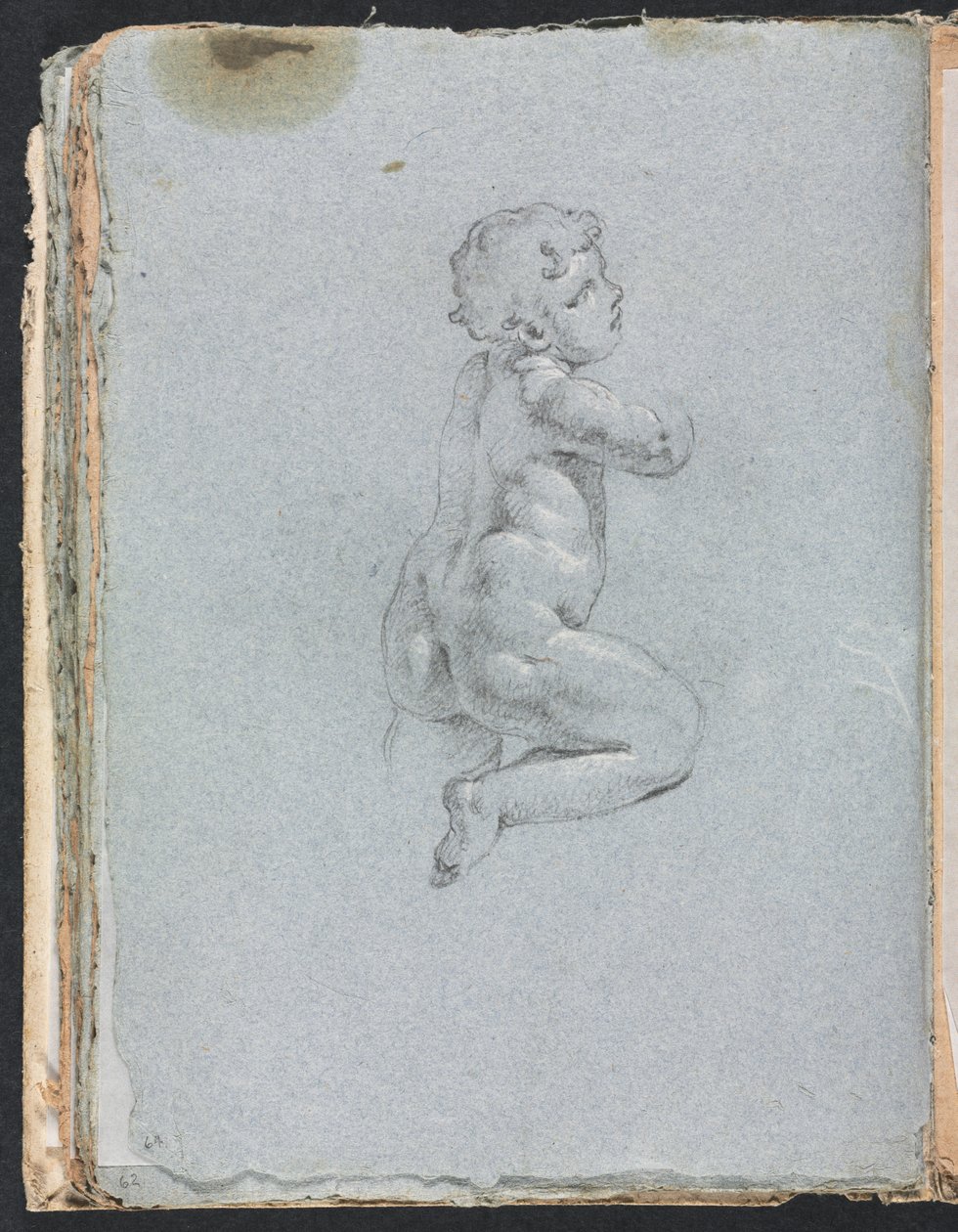 Verona Sketchbook: Putto profiilissa (sivu 64) tekijältä Francesco Lorenzi