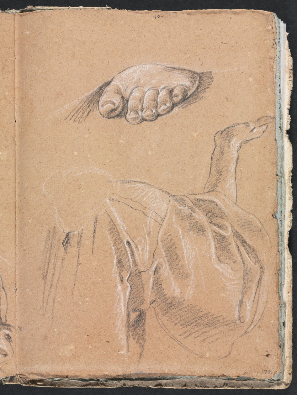 Verona Sketchbook: Tutkimus vasemmasta jalasta ja verhoista oikealla kädellä sivu 79, 1760. tekijältä Francesco Lorenzi