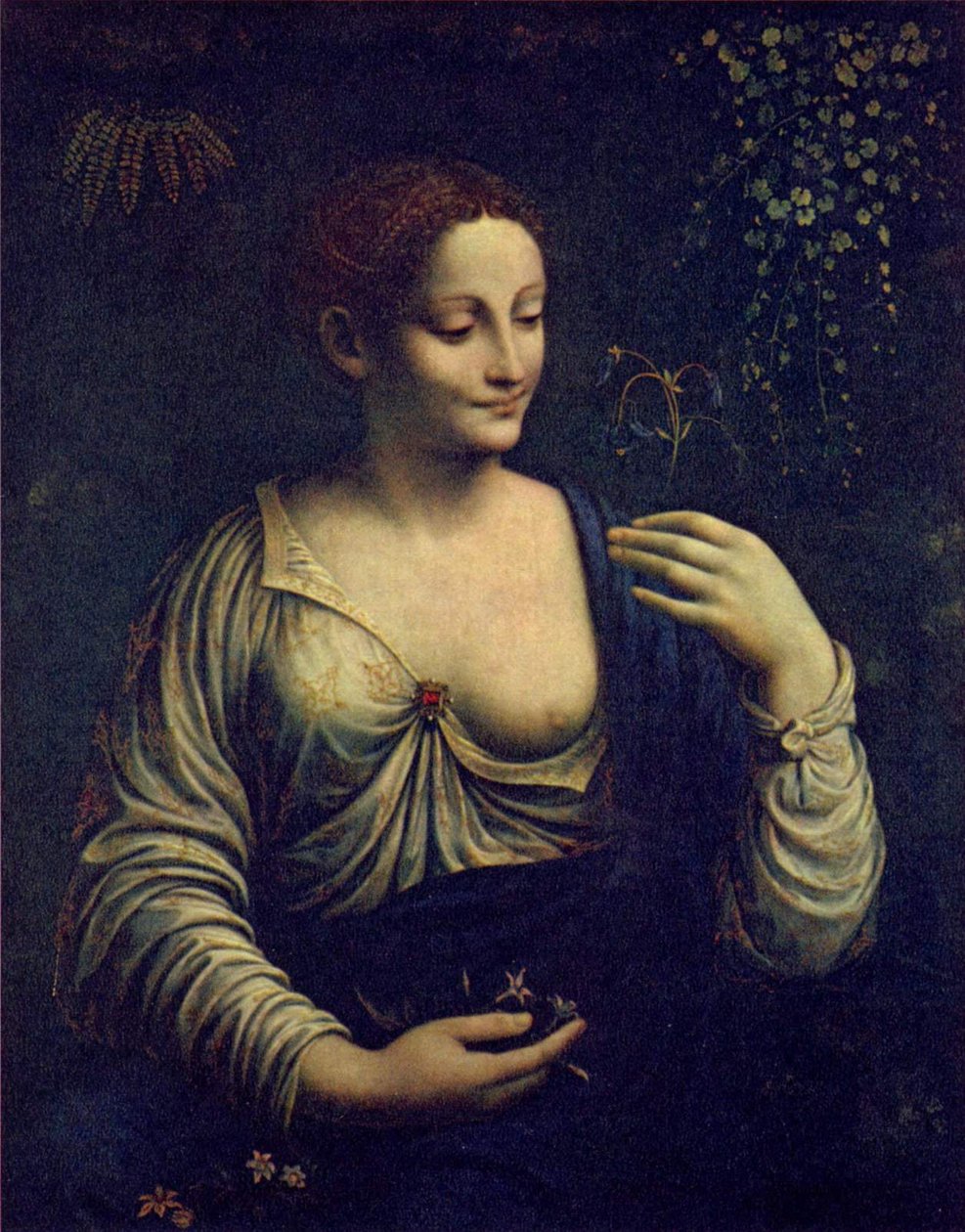 Flora tekijältä Francesco Melzi