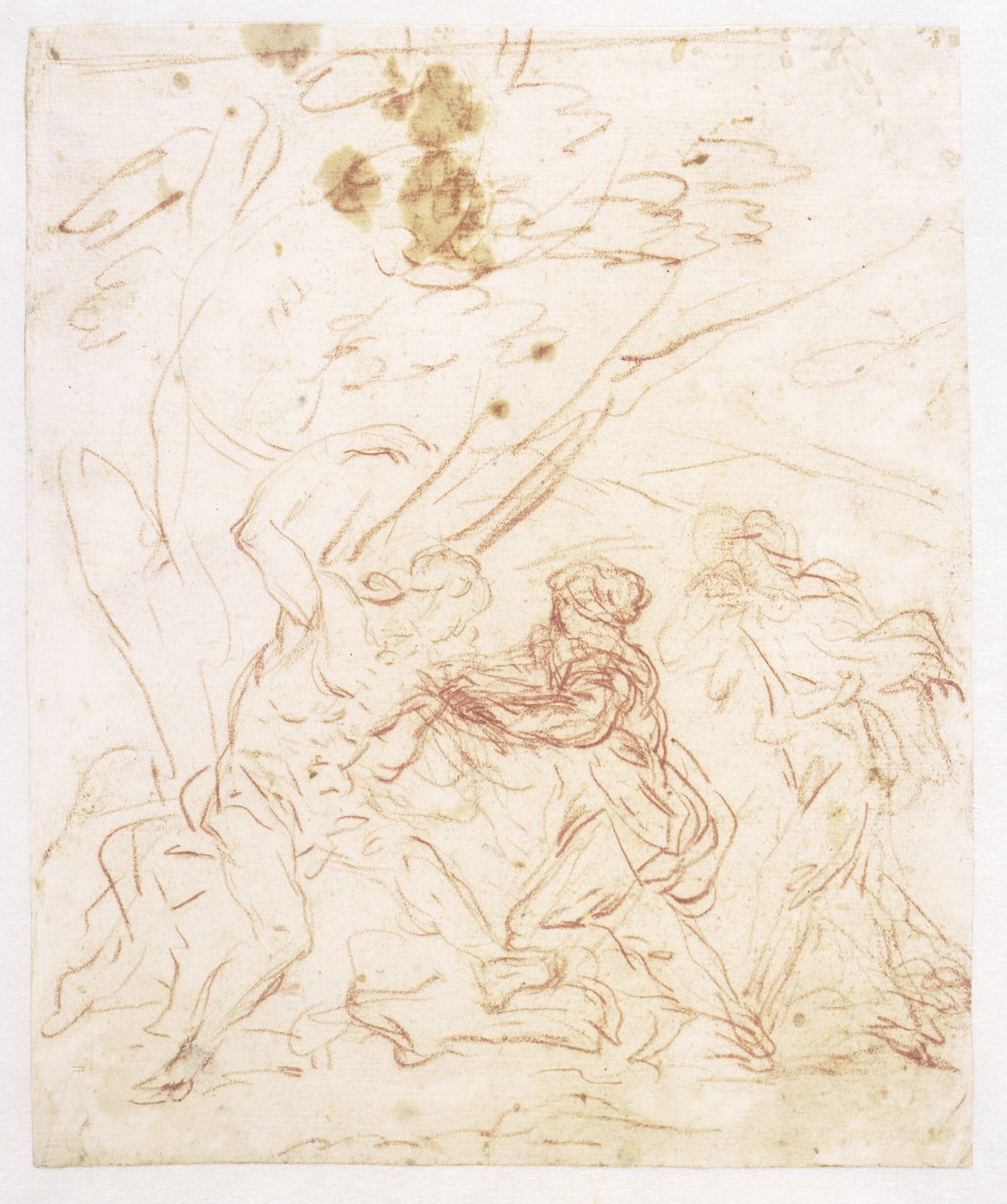 St Irene hoitaa St Sebastiania tekijältä Francesco Solimena