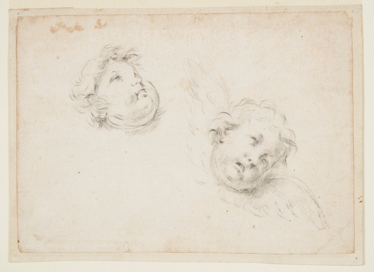 Tutkimus kahdelle kerubille tekijältä Francesco Solimena