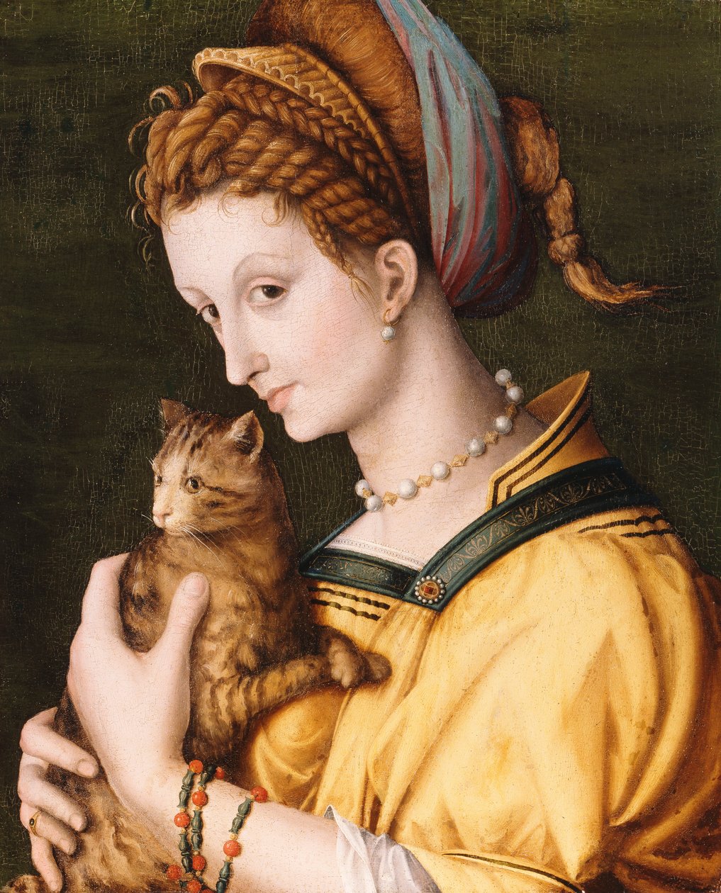 Nainen kissan kanssa, n. 1525-30 tekijältä Francesco Ubertini Bacchiacca