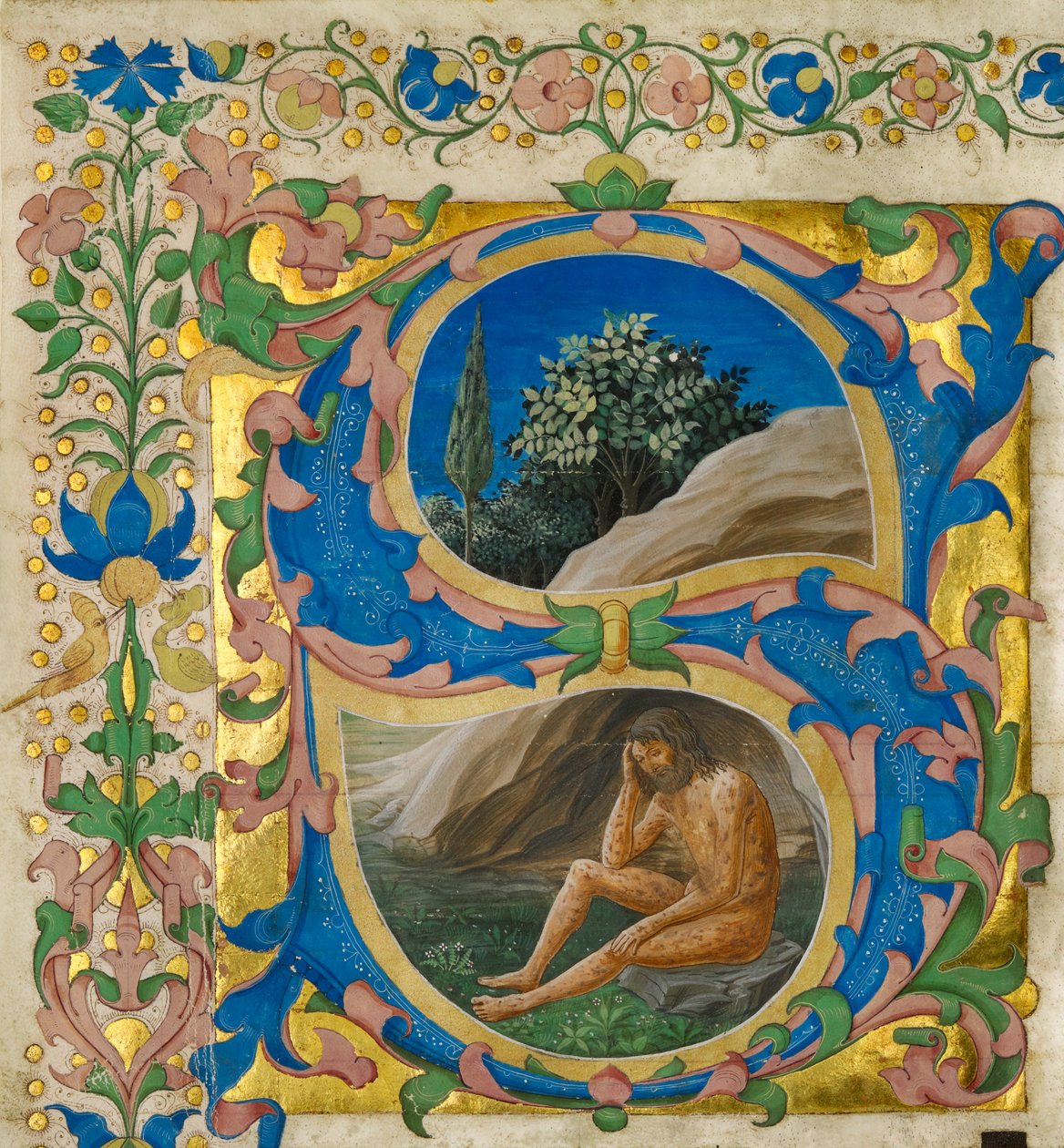 Alkuperäinen S: Työ tekijältä Francesco di Antonio del Chierico