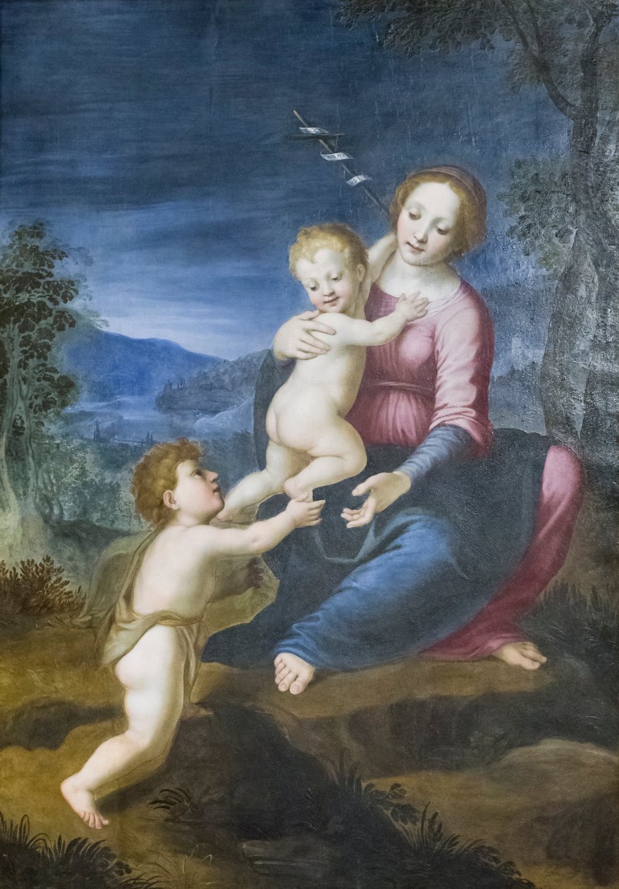 Neitsyt Jeesuksen ja Johannes Kastajan kanssa tekijältä Francesco di Cristofano Franciabigio