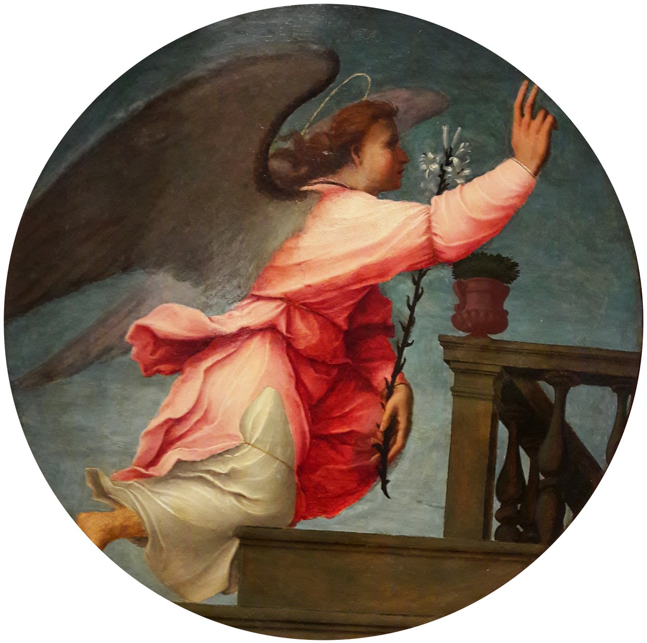Enkeli Ilmoitusparista tekijältä Francesco di Cristofano Franciabigio