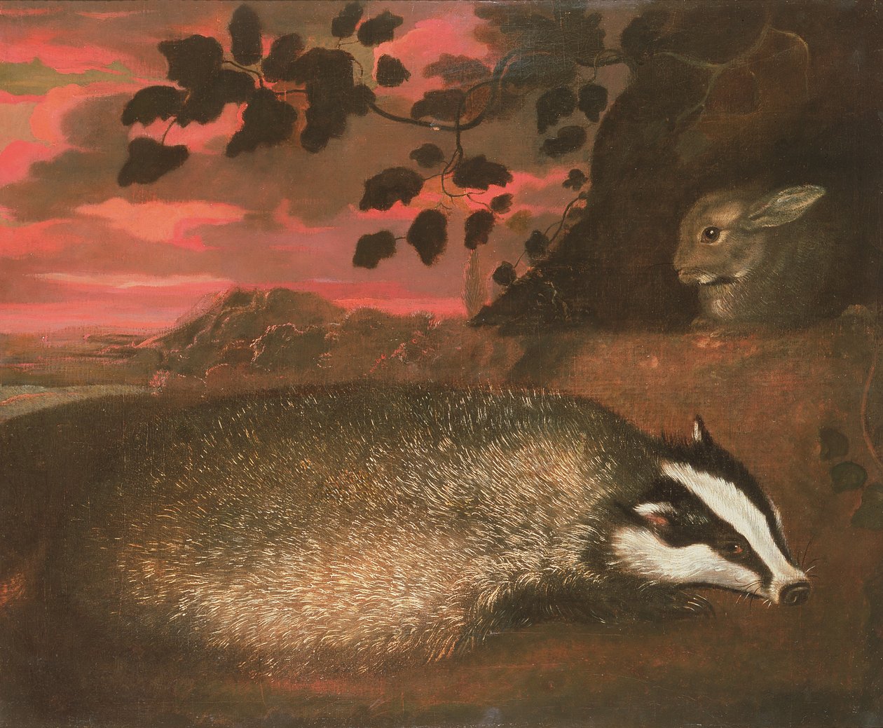 Mäyrä, 1600-luku tekijältä Francis Barlow
