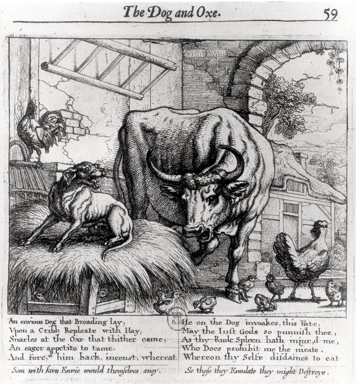 Kuvitus "Koira ja härkä", Aesop