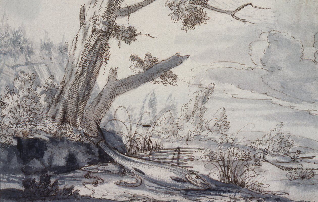 Partridges and Snipe, 17th century (piirustus) tekijältä Francis Barlow
