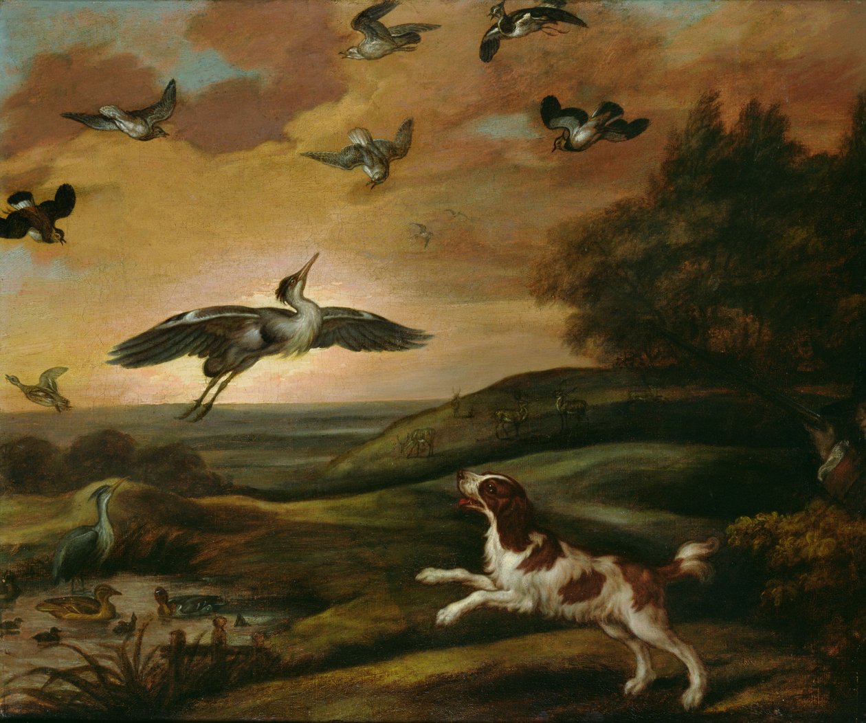 Plover Ammunta tekijältä Francis Barlow